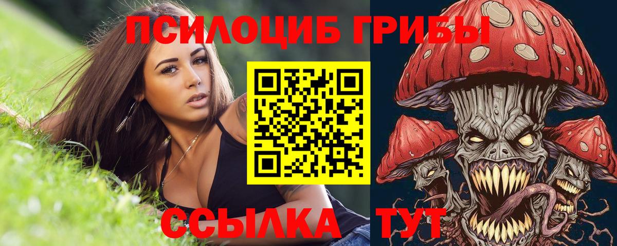 Галлюциногенные грибы ЛСД Чебоксары